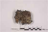 藏品(網梅衣 )的圖片